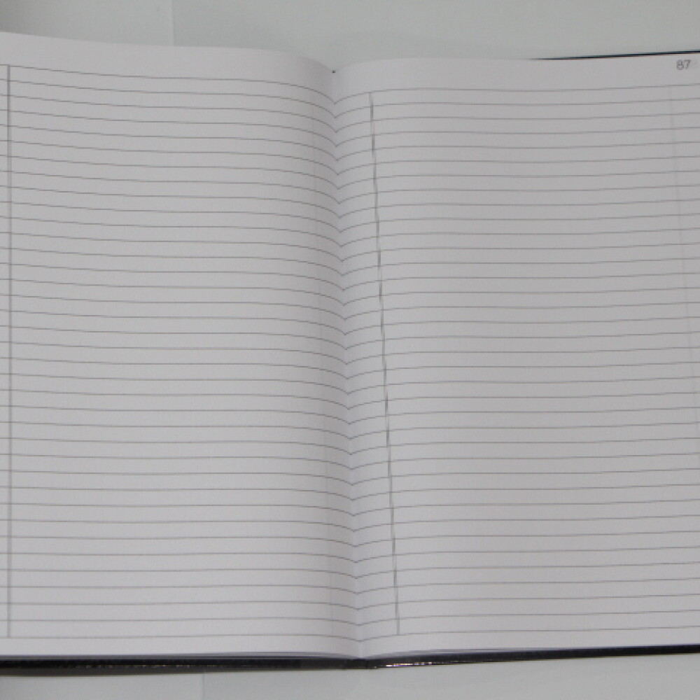 LIBRO DE ACTAS FOLIADO 100 HOJAS LIBRO DE ACTAS FOLIADO 100 HOJAS