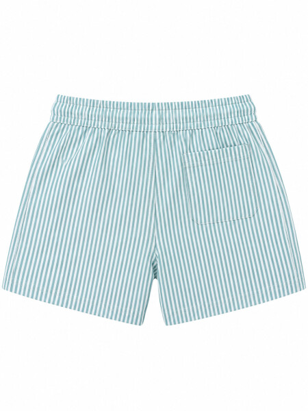SHORT JUPA RAYADO CELESTE