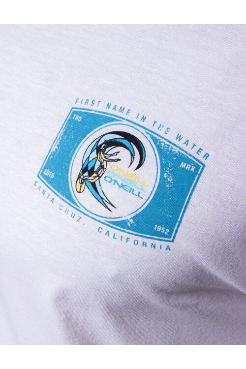 Remera O'Neill Postcard Remera O'Neill Postcard