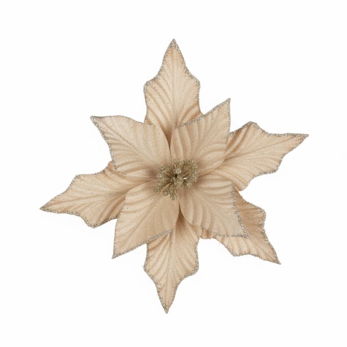 ESTRELLA FEDERAL TERCIOPELO CHAMAPGNE 25 CM. 