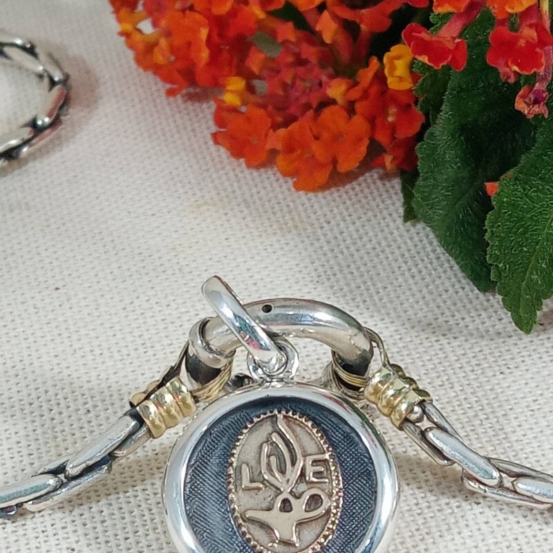 Medalla Profesión Licenciado/a en Enfermería Plata y Oro Medalla Profesión Licenciado/a en Enfermería Plata y Oro