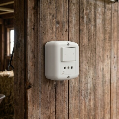 CAJA EXTERIOR CON INTERRUPTOR BIPOLAR 2PT Caja Exterior con Interruptor Bipolar + Toma 2P+T Atenea Blanco