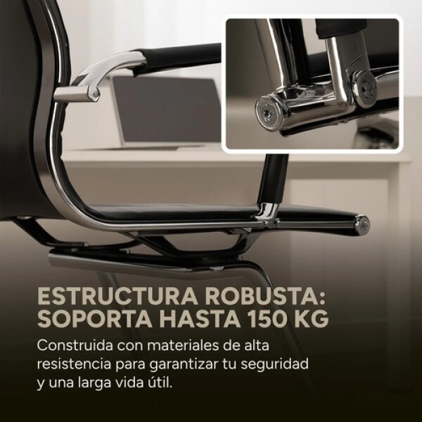 Silla Oficina Escritorio Patas Fijas Respaldo Anatómico Color Negro Plateado