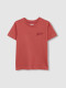 Camiseta Boyscrew Rosa