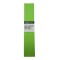 Papel Crepe Campus Verde Claro