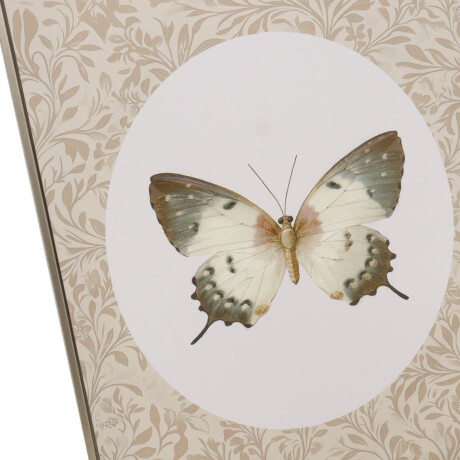 CUADRO BUTTERFLY I, 40 NATURAL/BEIGE PAPEL WP2514737B