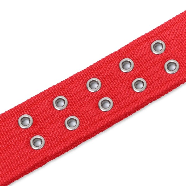 Collar Hebilla Nylon Perros Raza Grande 65 cm Ajustable Variante Color Rojo
