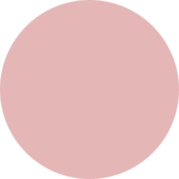 6046 Receta Beige
