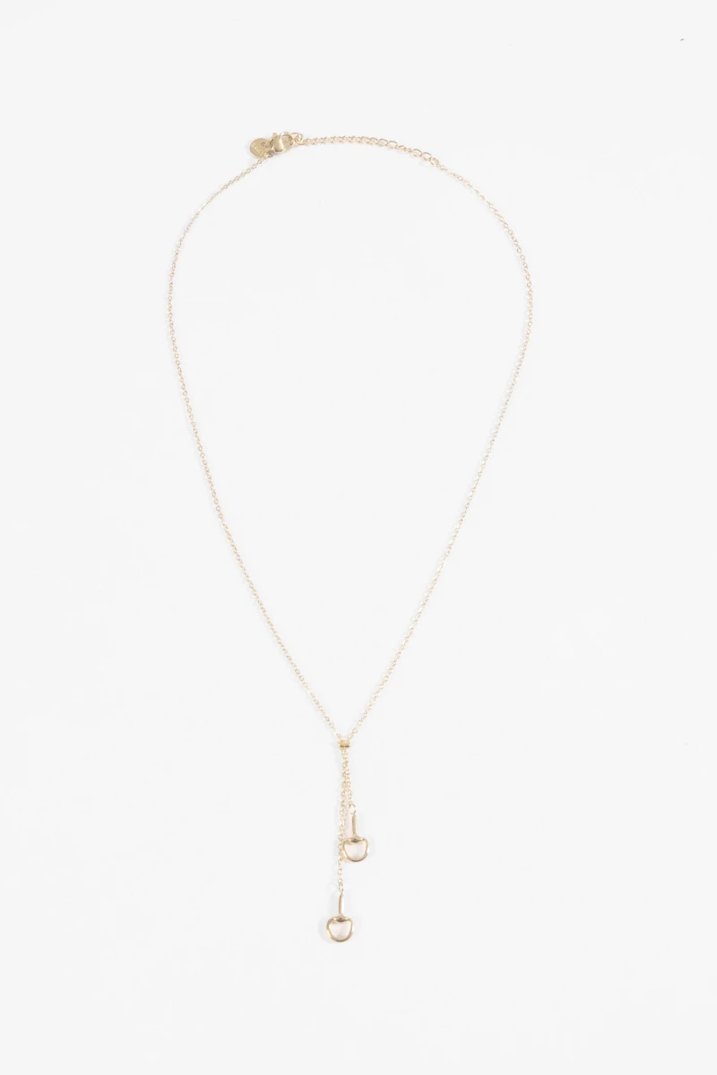 Collar acero con dije herradura dorado
