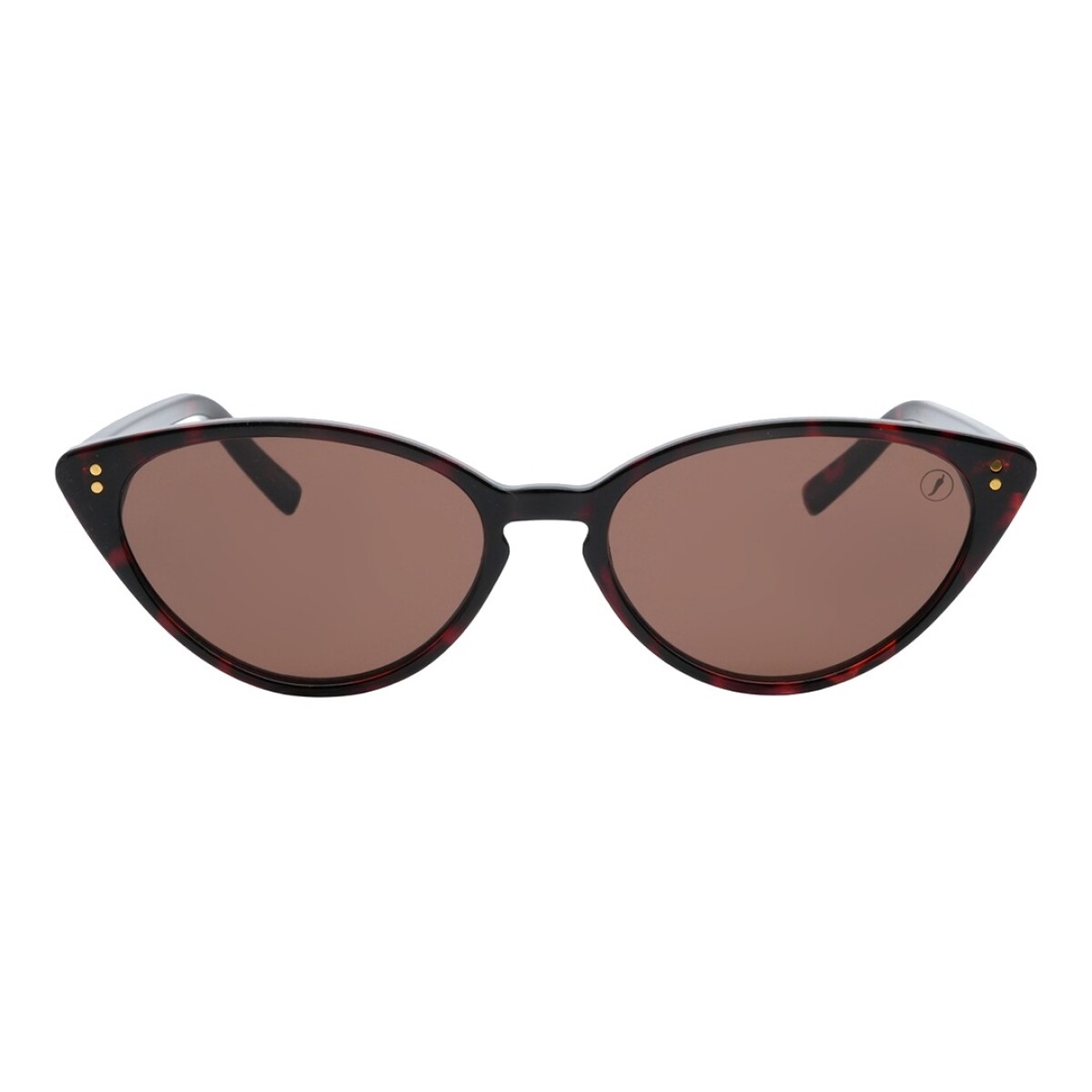 Lentes de Sol Chilli Beans Reynosa - Animal Print 