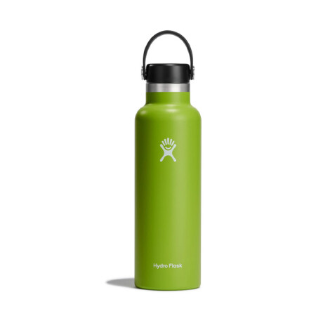 21 oz Standard Mouth Seagrass