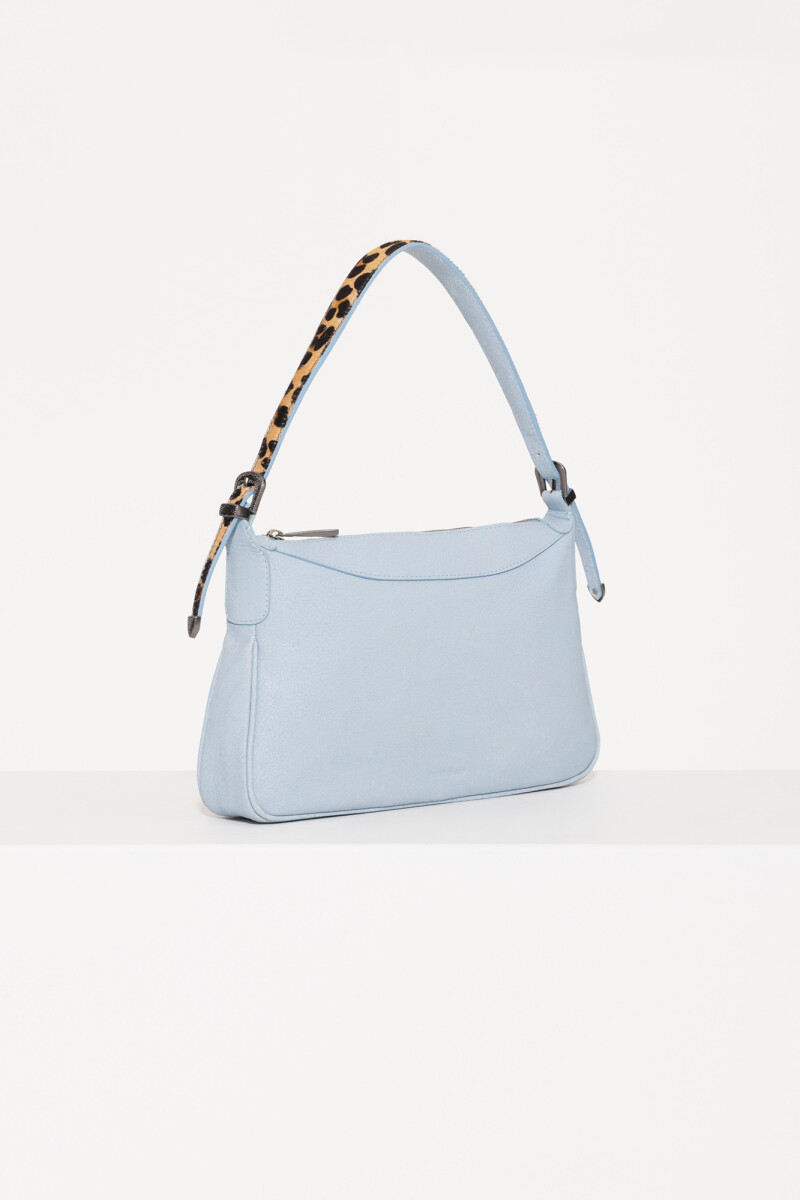 CARTERA VALENCIA Celeste