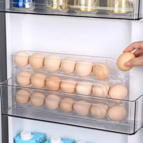 Huevera vertical con inclinación para 21 huevos Sc