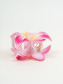Pinza De Pelo Amaru Rosa