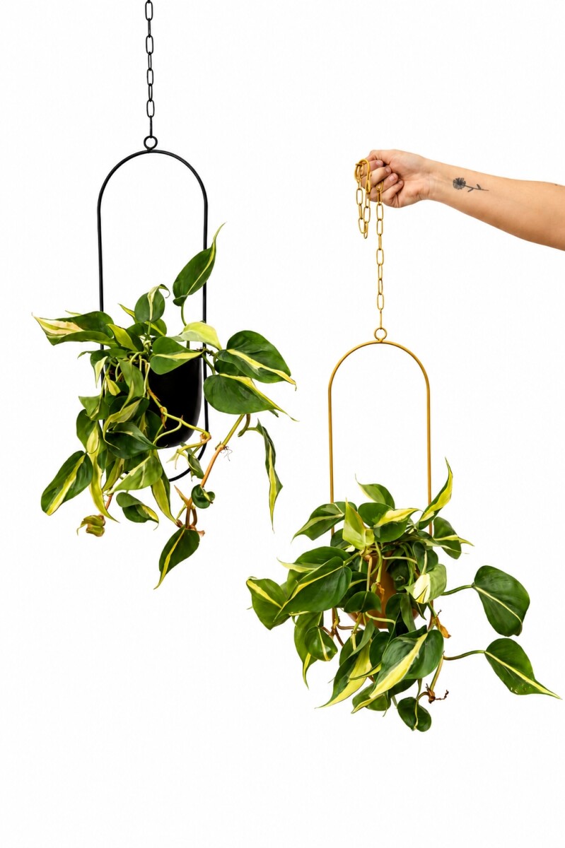 POTHUS EN COLGANTE METALICO - NEGRO 