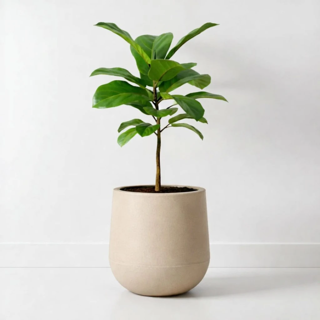 Maceta decorativa gota 4,5 litros beige