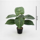 Planta Artificial 35cm Planta Artificial 35cm