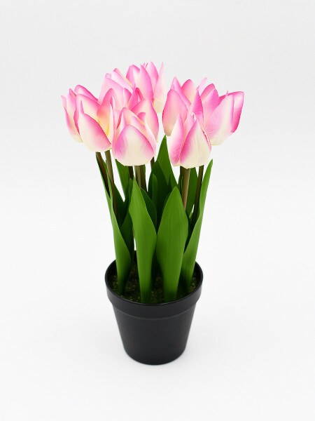 PLANTA TULIPAN C/MACETA ROSA CLARO
