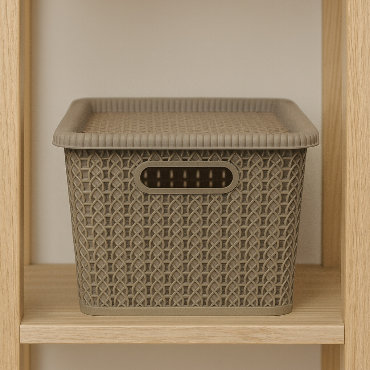 Caja organizadora simil ratán 5L - CAPPUCCINO 