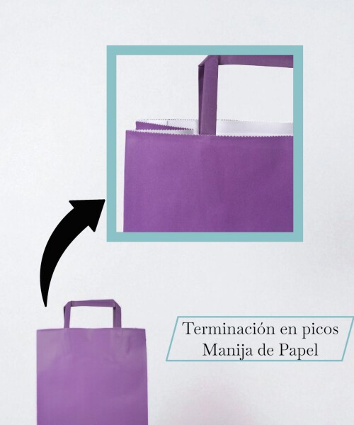 Bolsa lisa acuario 22x10x30 cm PURPLE