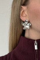 Picsa Silver