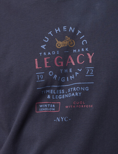 REMERA ESTAMPADA Azul