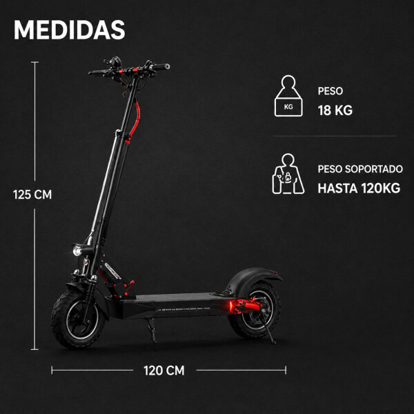 Monopatin Electrico Scooter Pro Gogreen Silence R10 30Km/h Variante Color Negro