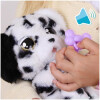 Perro Cachorro Baby Paws Dalmata