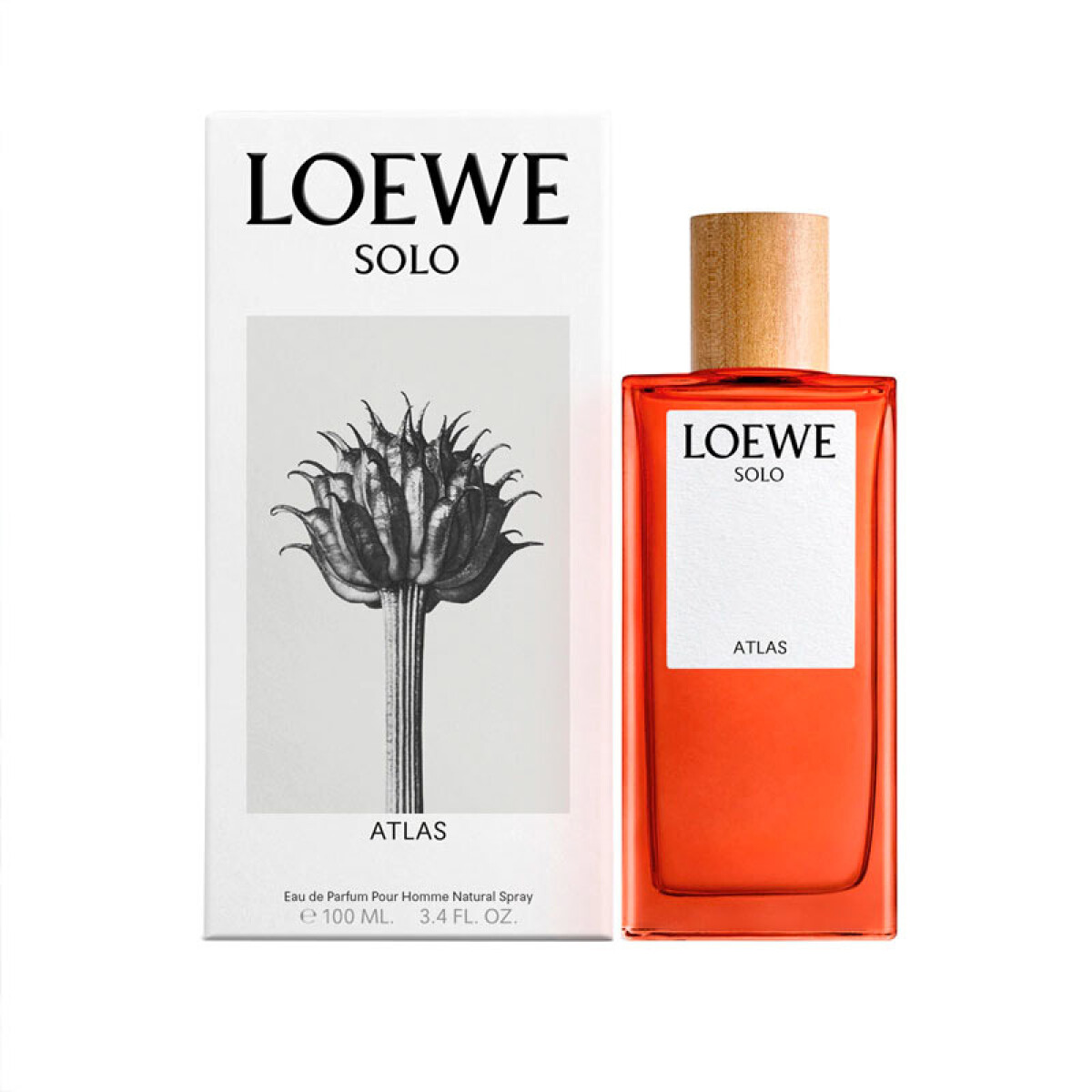 Loewe Solo Atlas Edp 100ml 