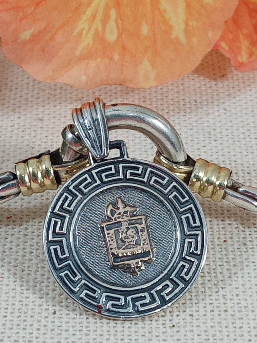Medalla Profesión Policía en Plata y Oro con guarda 