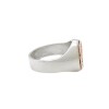 Anillo Profesión Nurse-Plata y Oro-Sin Piedra-AP5008 - Adulto - Sinpiedra