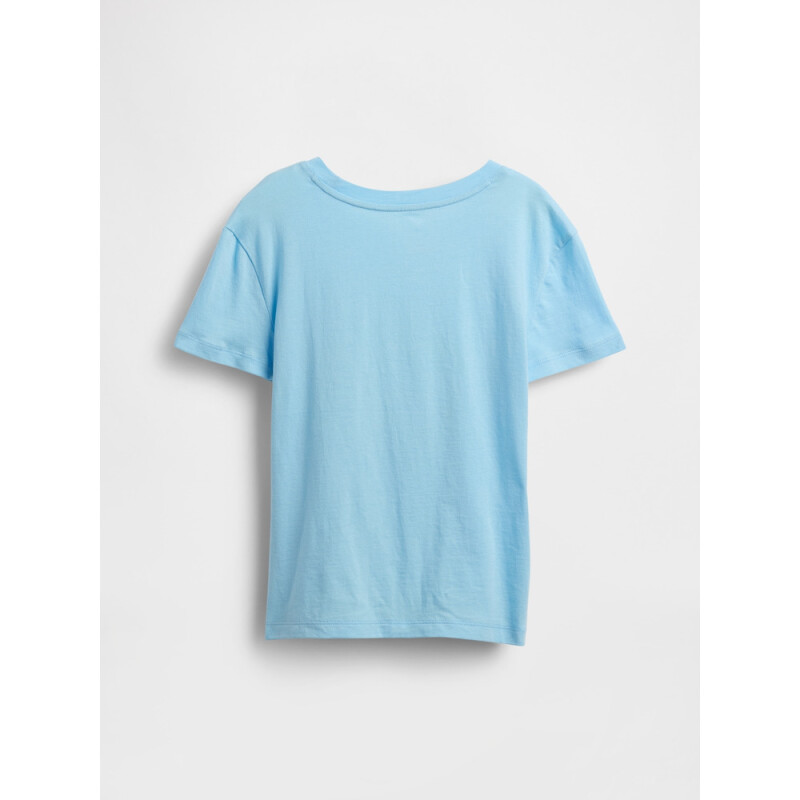 SS VALUE GRAPHIC-MAY CHLORINE BLUE