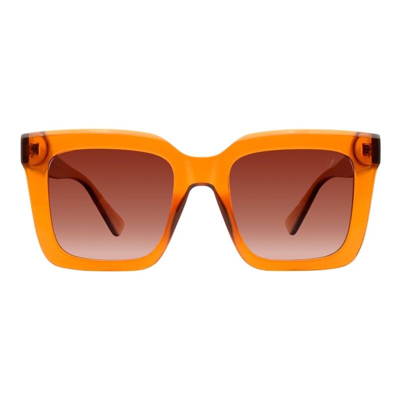 Lentes de Sol Chilli Beans Guajará Square Turtle Marrón