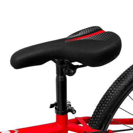 Bicicleta Montaña Expert Renegade Hombre Rod 26 Frenos Disco 21cambio Rojo