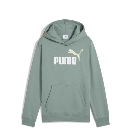 Buzos Puma Logo Hoodie Masculino Verde