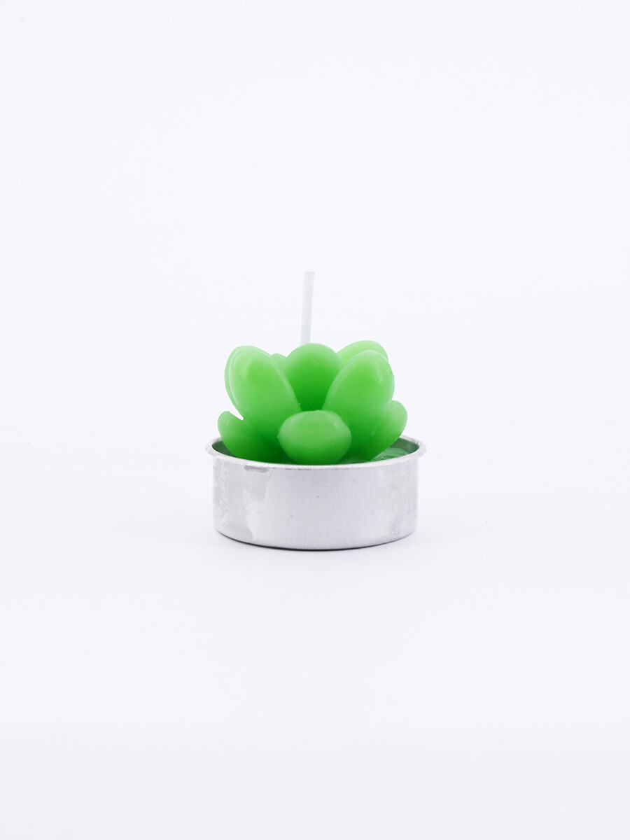 SUCULENTA VELA CACTUS - VERDE 