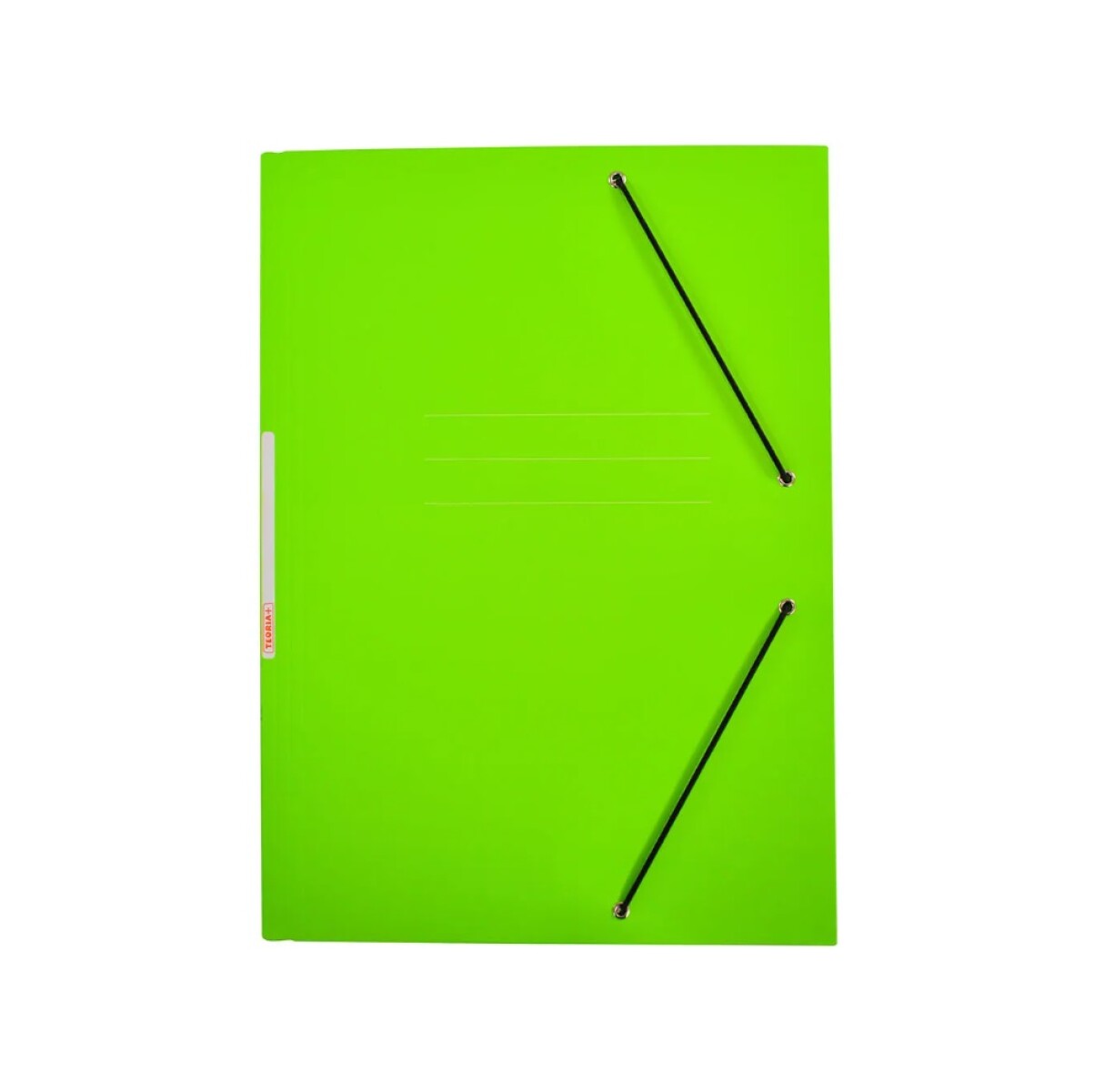 Carpeta Con Elástico Oficio Teoría+ Plastificada Verde 