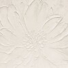 Cuadro Canvas 60x60 - Margarita Cuadro Canvas 60x60 - Margarita