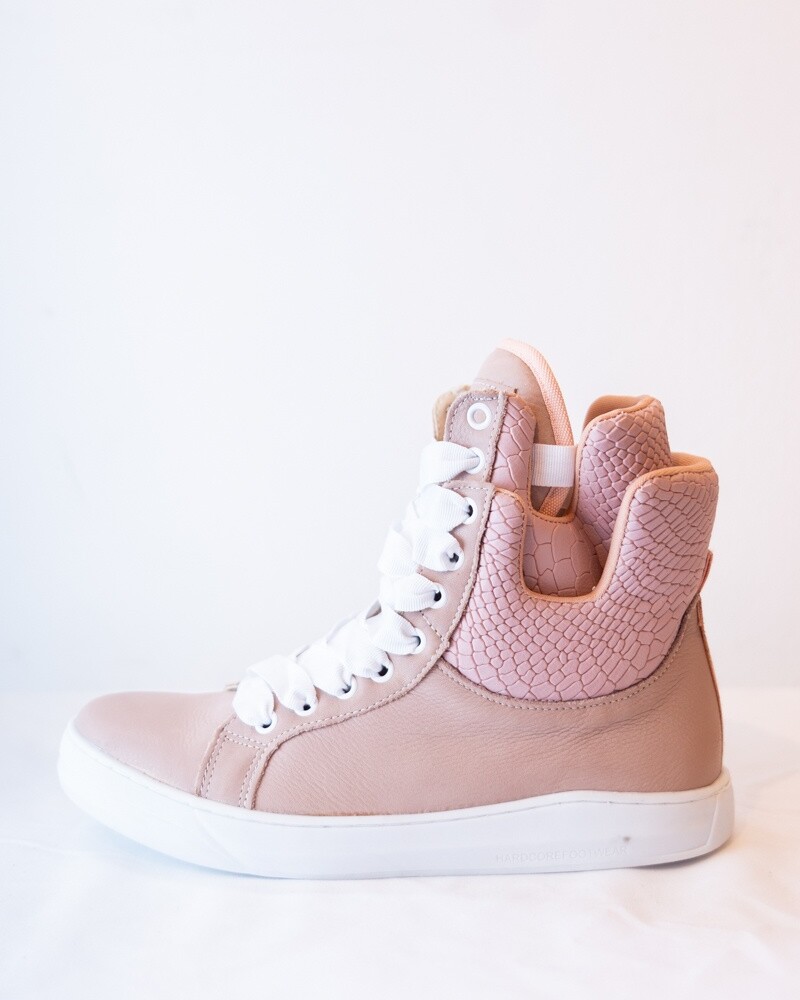 CHAMPION Rosa