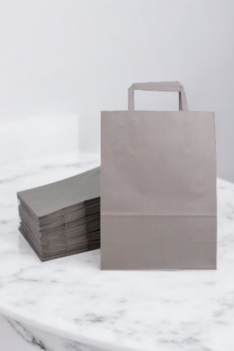 Pack x 50 - bolsa lisa 22x10x30 cm. - GRIS SOMBRA 