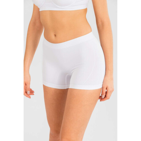 Boxer chicory Blanco