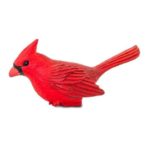 Pajaro Cardenal Cardinal Safari Figura Muñeco Realista Pajaro Cardenal Cardinal Safari Figura Muñeco Realista