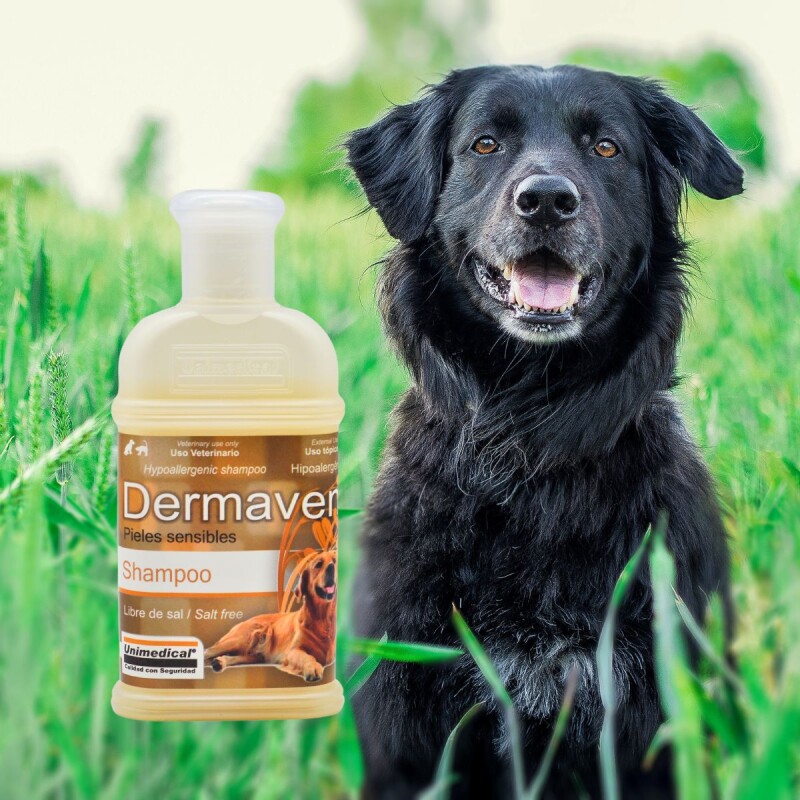 DERMAVEN SHAMPOO CON AVENA LIBRE DE SAL PARA PIELES SENSIBLES DERMAVEN SHAMPOO CON AVENA LIBRE DE SAL PARA PIELES SENSIBLES