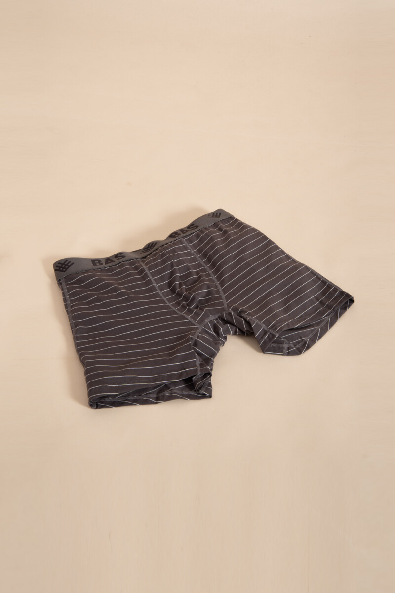 Boxer largo Estampado Gris