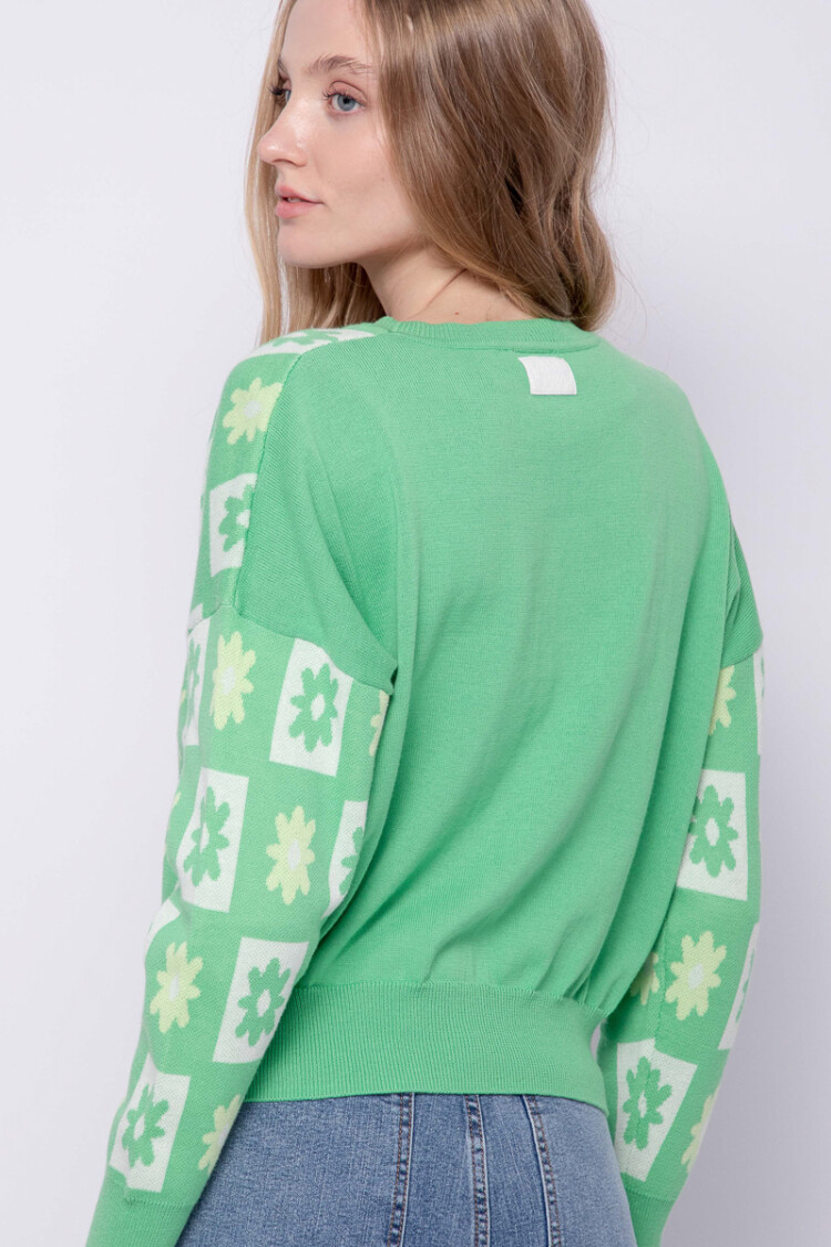 SWEATER LUSITANO Verde