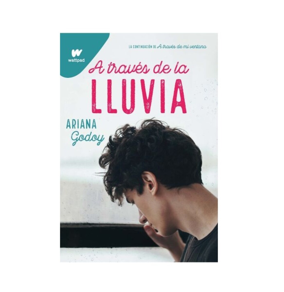 A TRAVES DE LA LLUVIA 