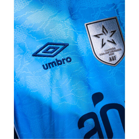 Remera Camiseta Alternativa 3 2026 De Hombre Celeste