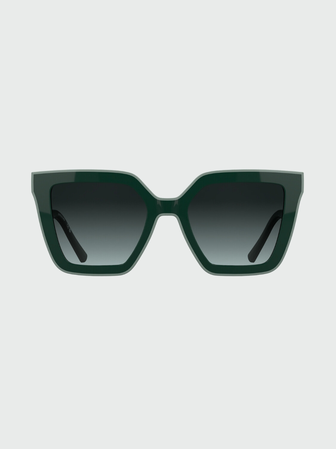 LONGCHAMP - Lentes de Sol Verde