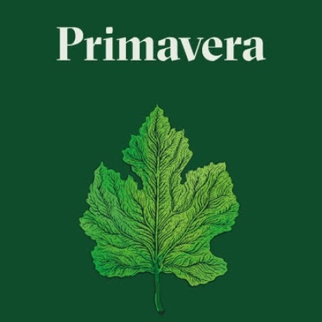 PRIMAVERA PRIMAVERA