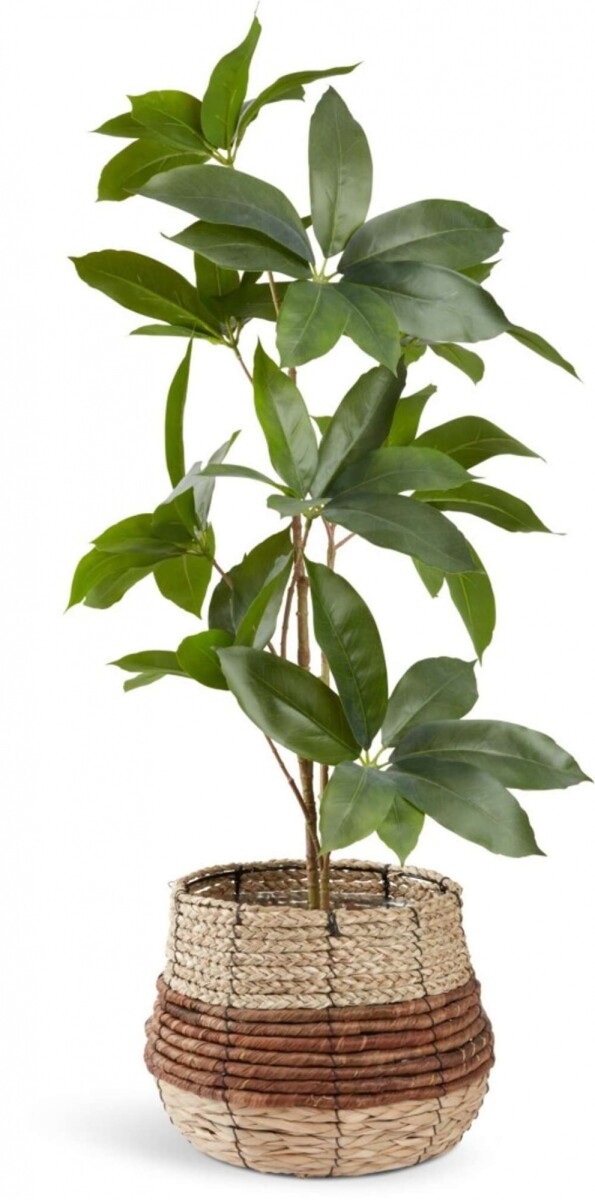 Planta Artificial Tristan - A90Cm 